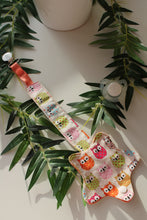 Charger l'image dans la galerie, Attaches Tétines Hiboux Coloré