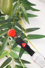 Charger l'image dans la galerie, Attaches Tétines Coccinelles