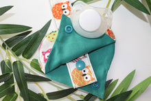 Charger l'image dans la galerie, Attaches Tétines Hiboux Coloré