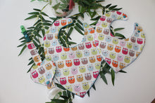 Charger l'image dans la galerie, Attaches Tétines Hiboux Coloré